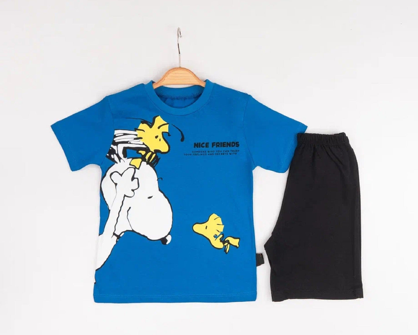 Snoopy Set