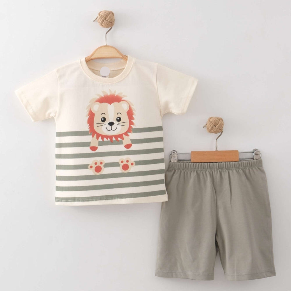 Little Lion Set