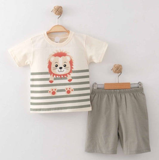 Little Lion Set