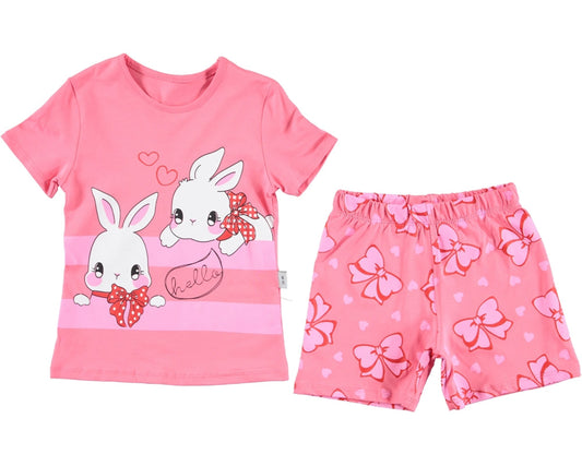 Hello Rabbit Set